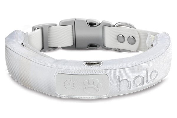 2. HALO COLLAR 2+