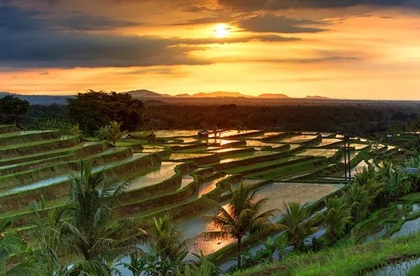 Bali