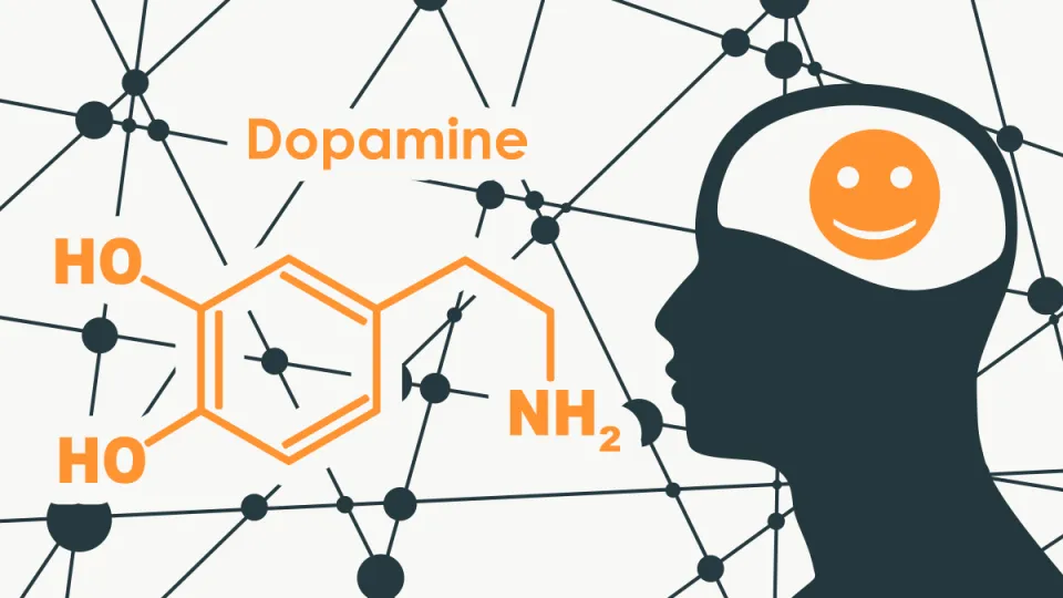 dopamine detox