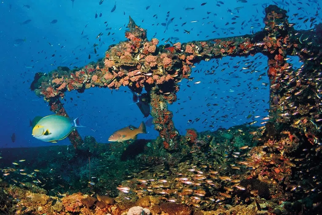 Yongala, Australia