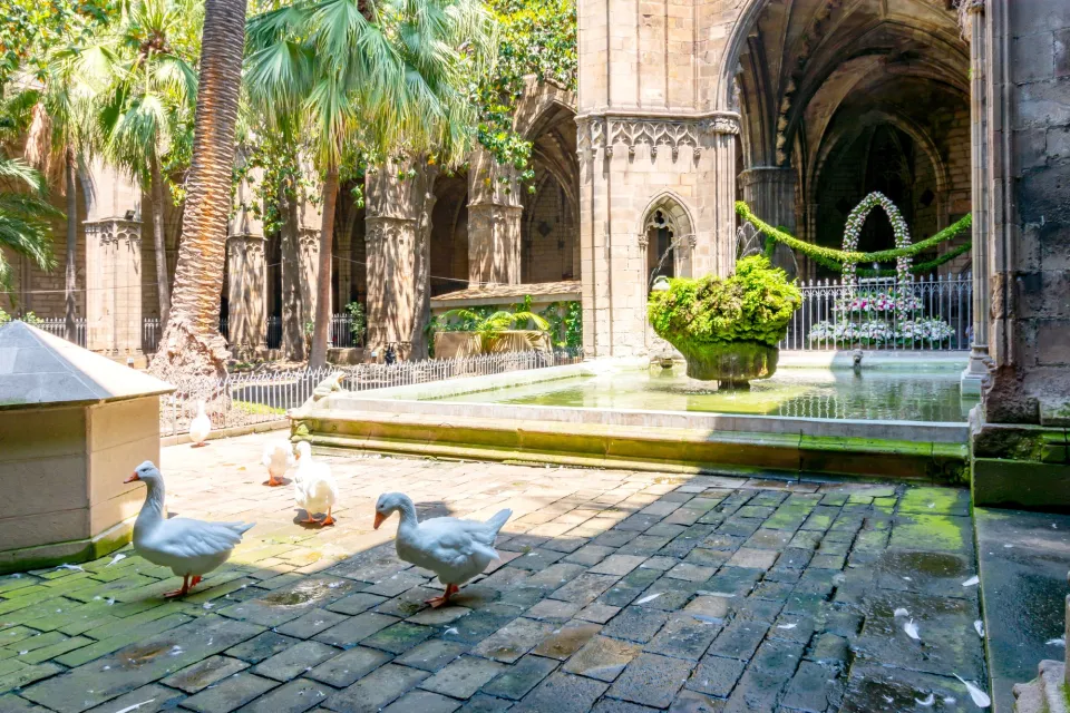 Healing of nature meets lavishness