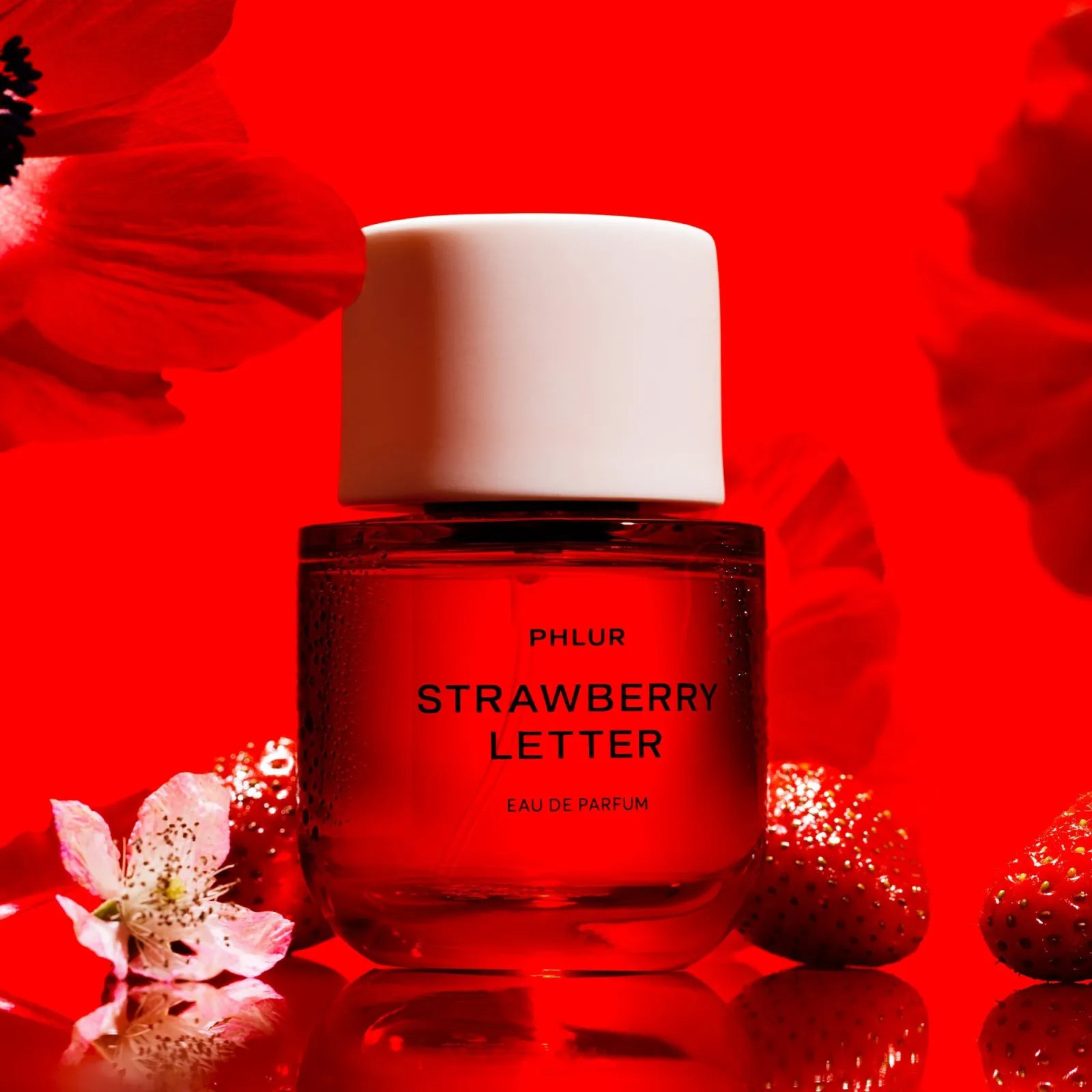 Bright and Bold vs. the Fading Strawberry