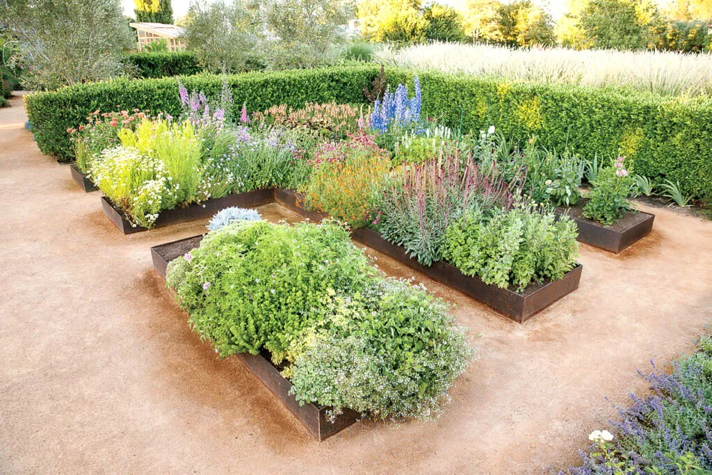 Defining Spaces with Borders & Hedges