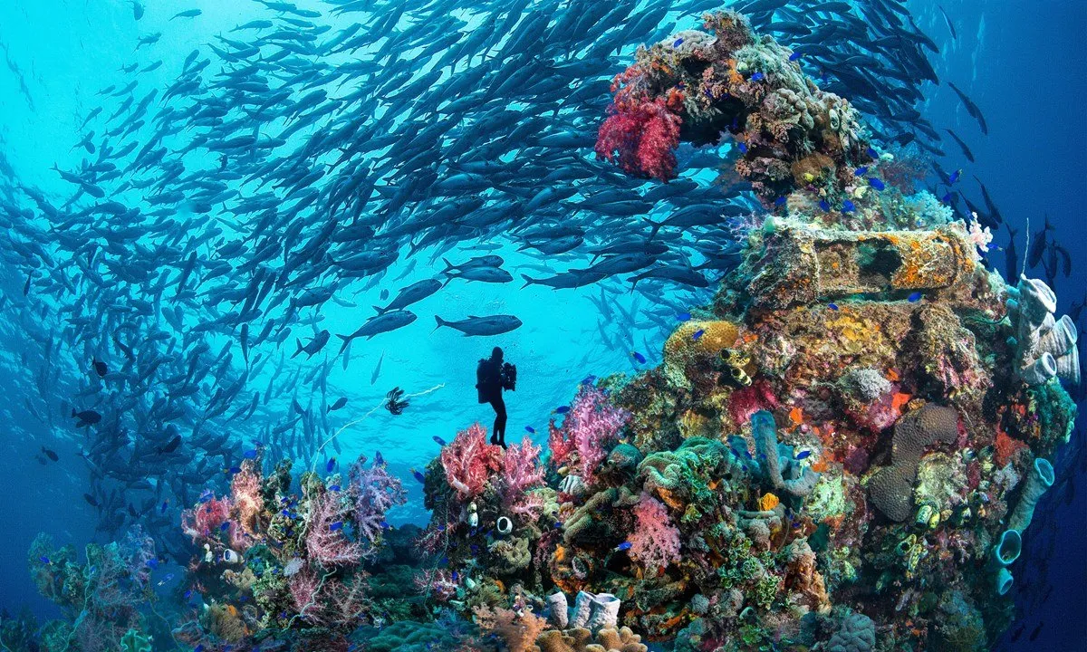 Exotic Blues