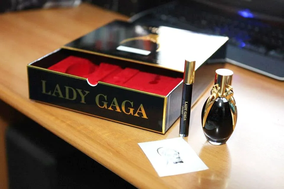 Lady Gaga’s Fame Losing All of it