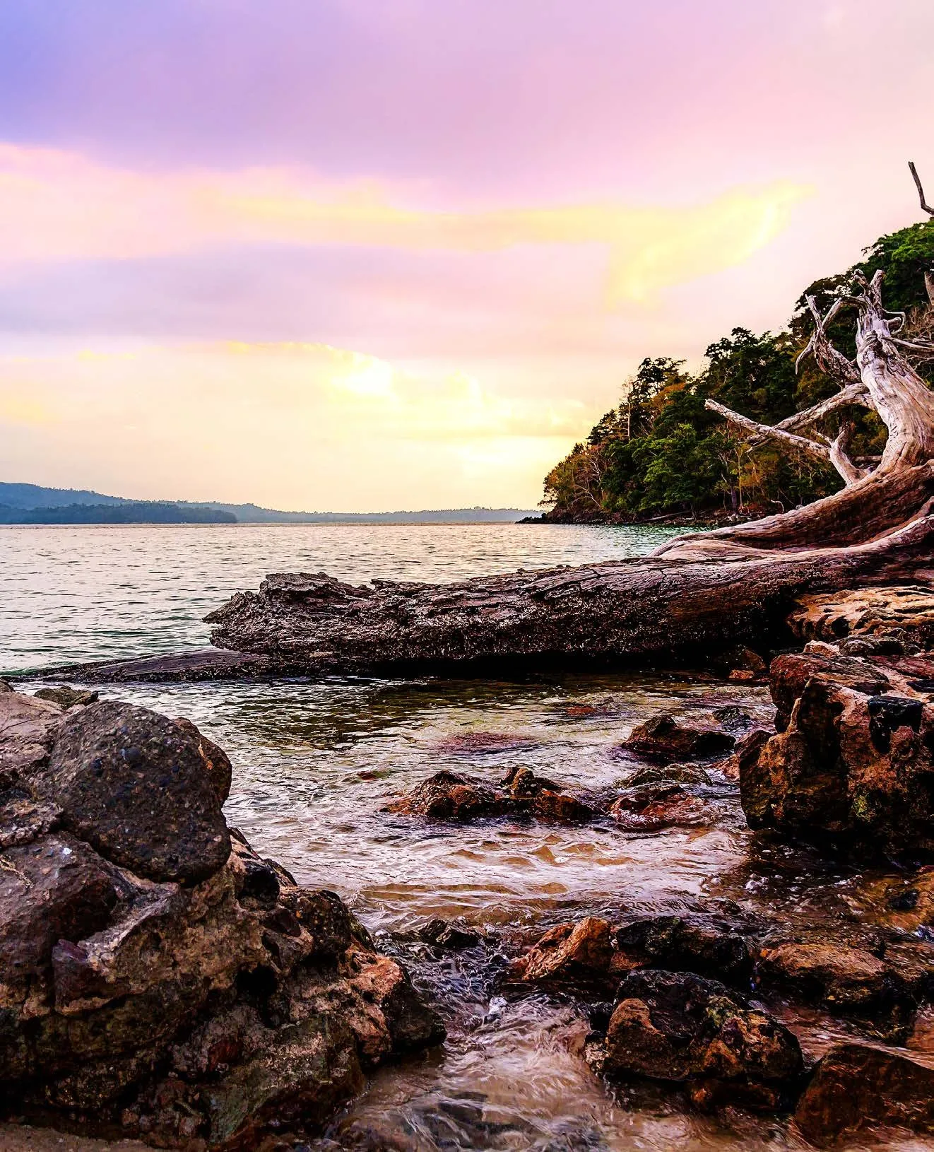 Paradise found: Andaman and Nicobar Islands!