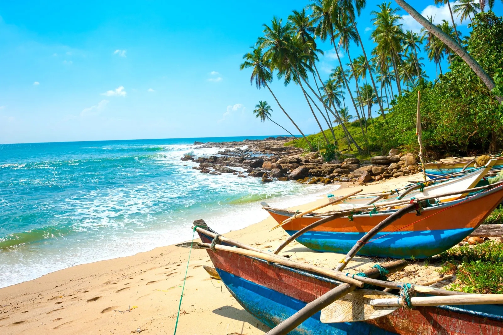 Sun, Sea, and Serenity