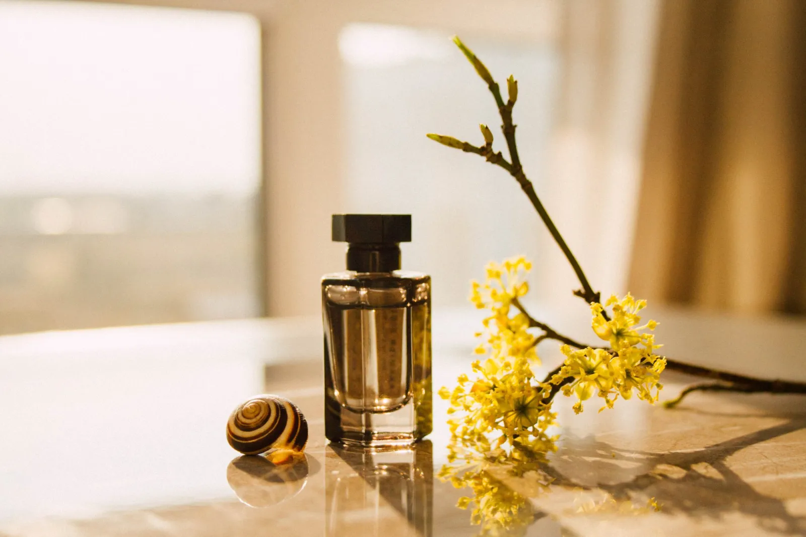 Aesthete de Fragrance