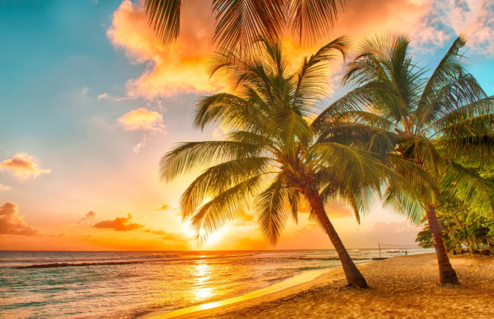 Barbados, Nothing but Bliss
