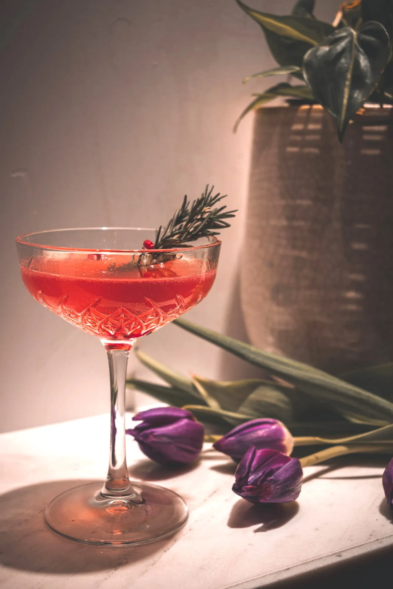 From Vineyard To Cocktail Glass
