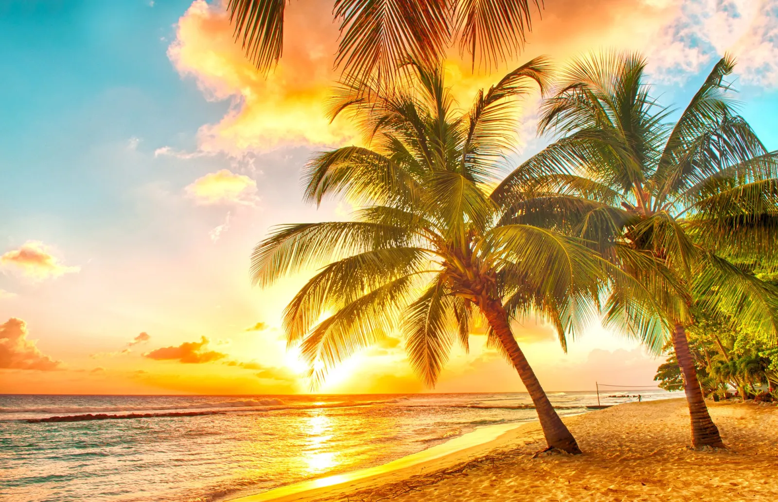 Sunset and party cruises