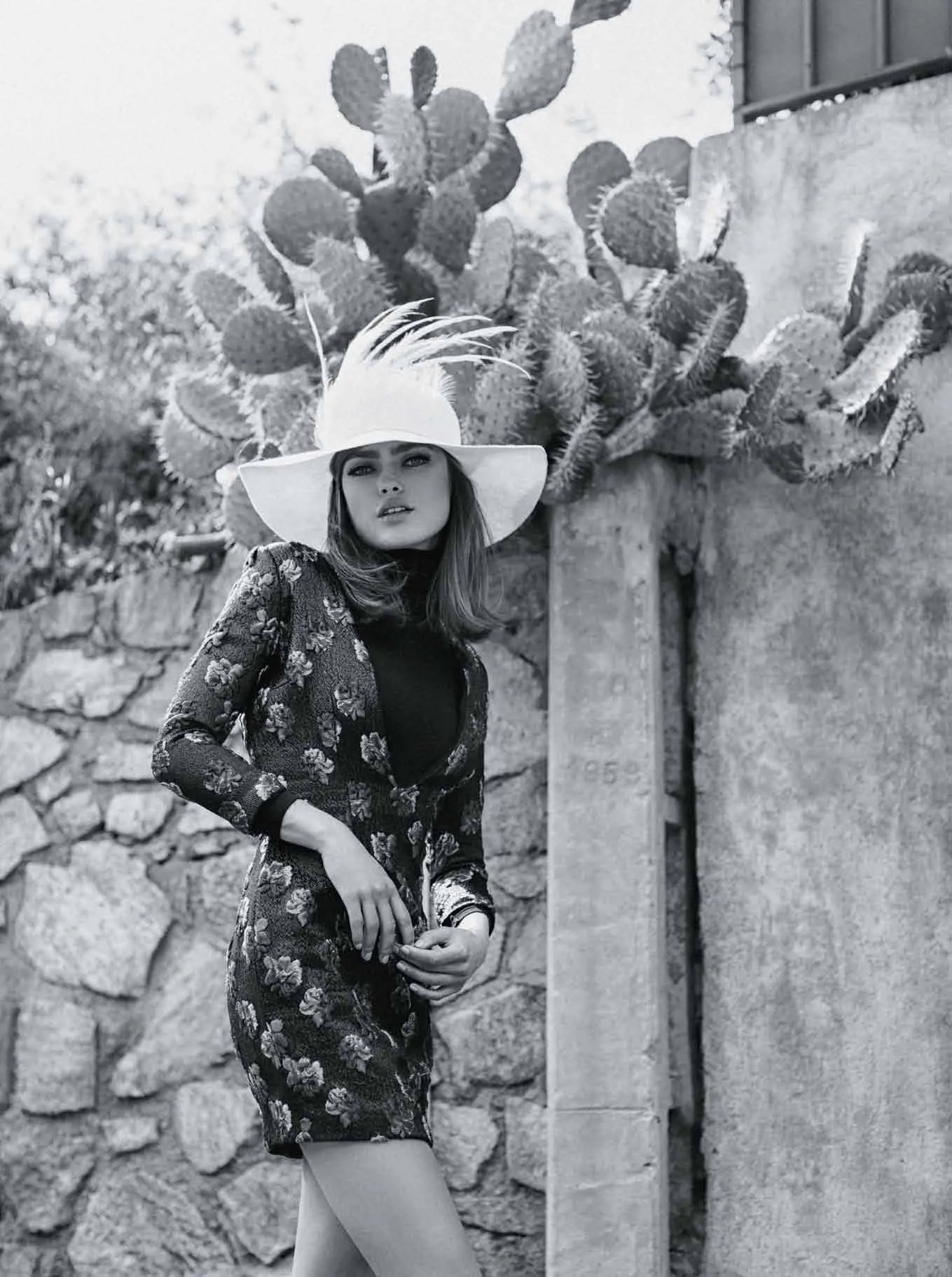 The Ultimate Fan Of The Sixties