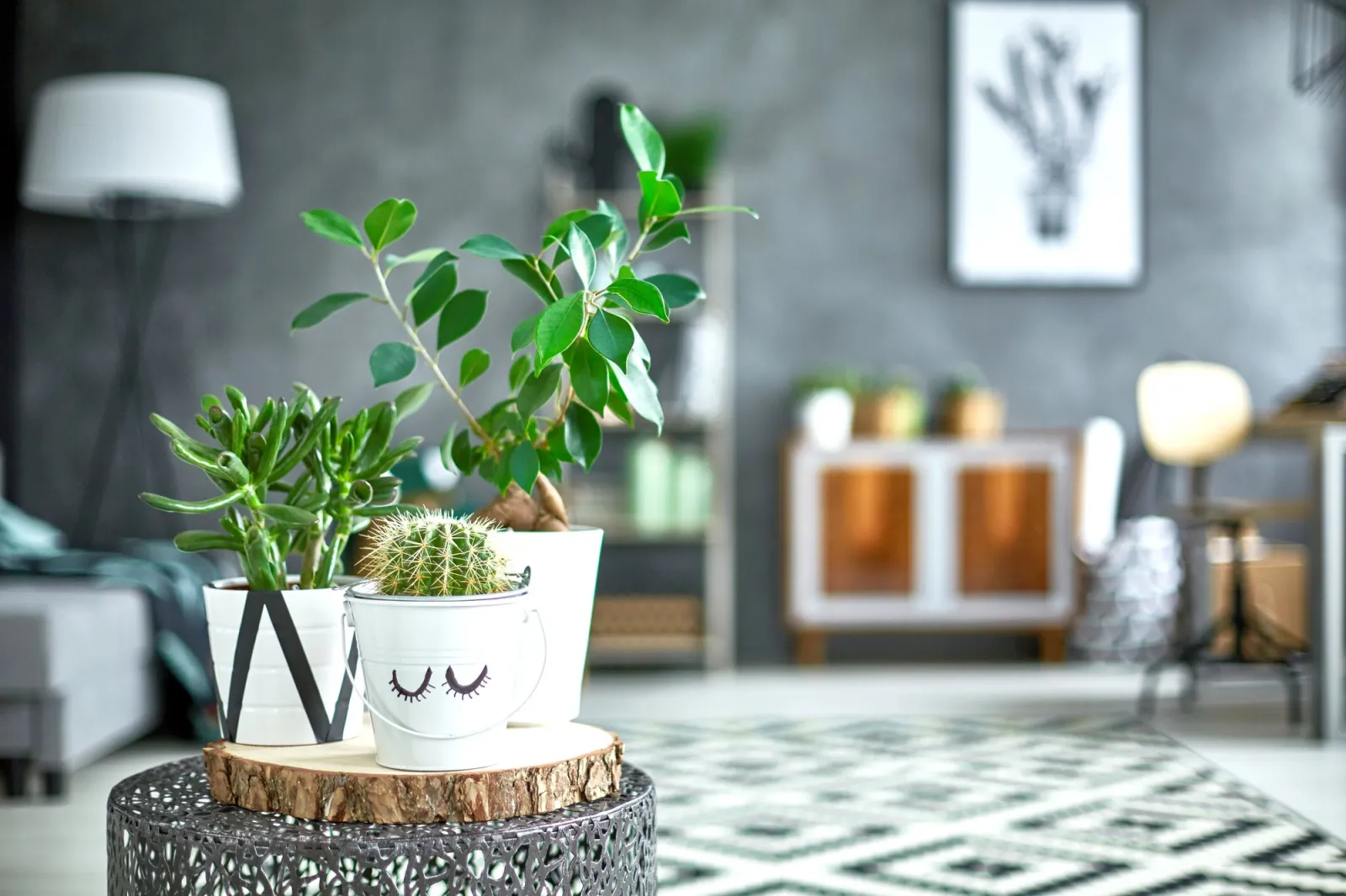 Versatile Spaces