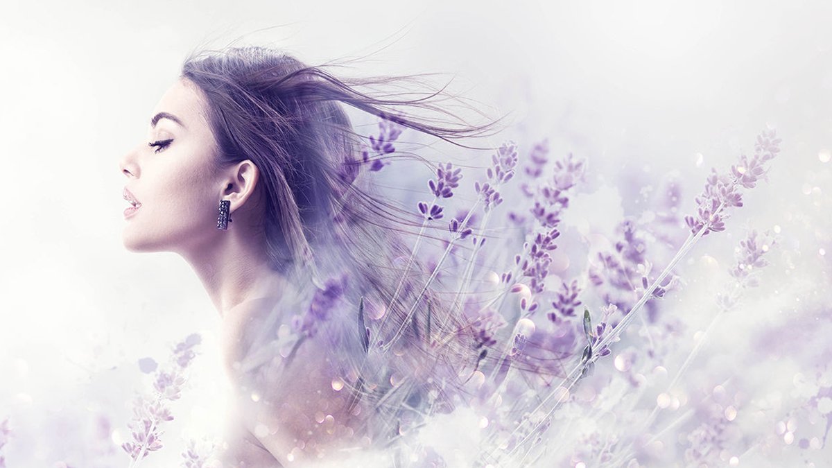 Lavender