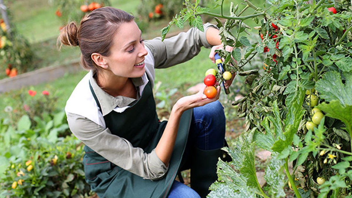 home garden