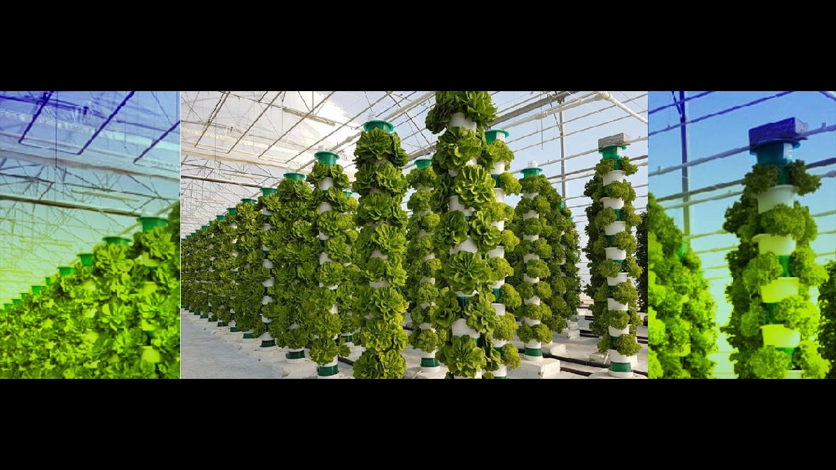 farming