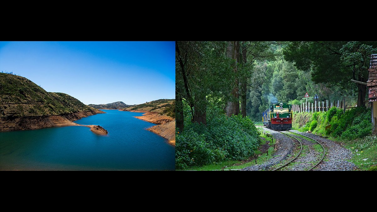 ooty