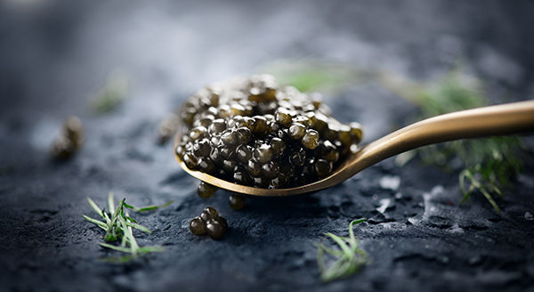 caviar dish
