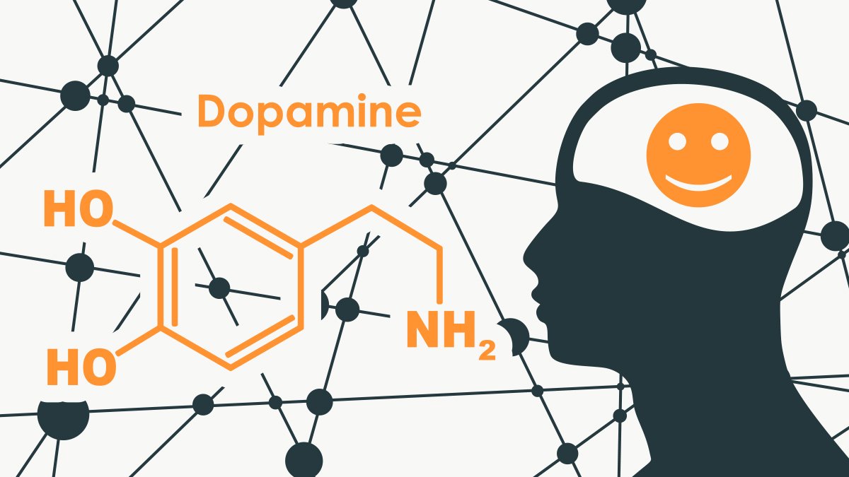 dopamine detox