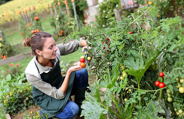 home garden