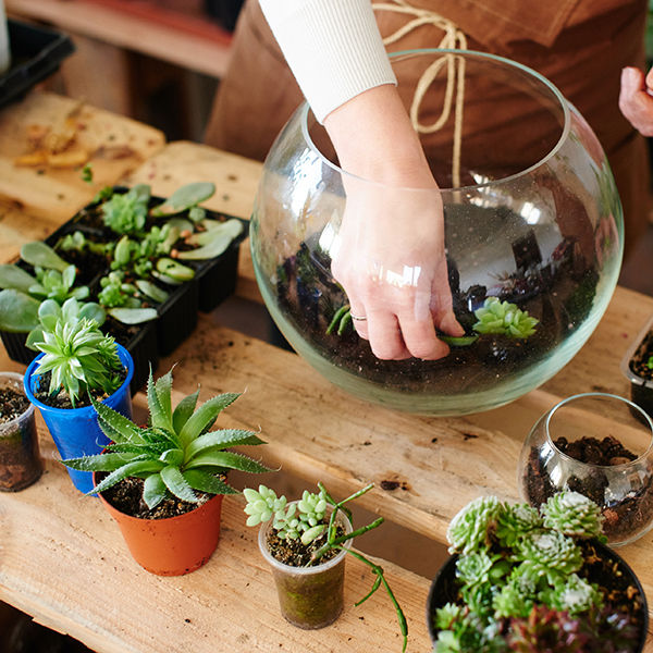 home garden