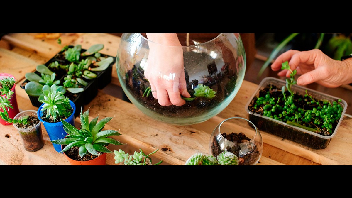 home garden