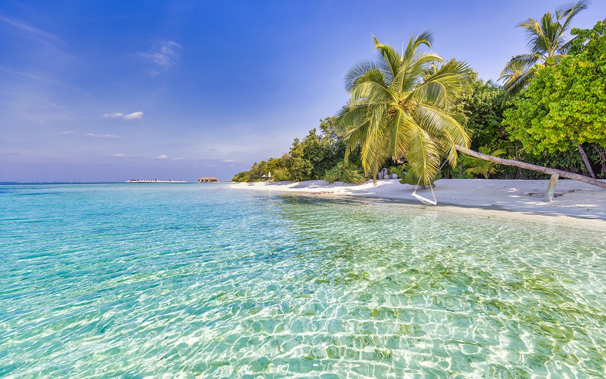 travel destination