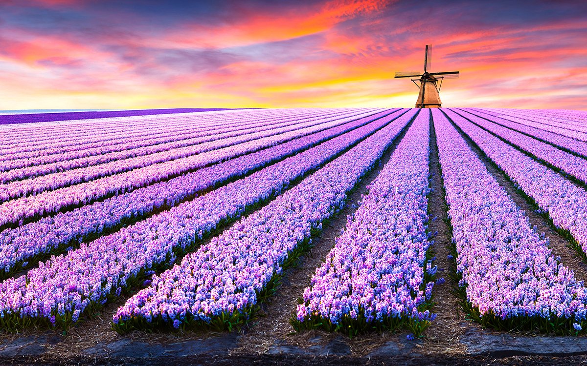 Netherlands