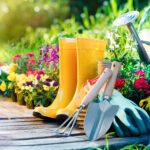 Inculcate Some Garden Healthy Habits