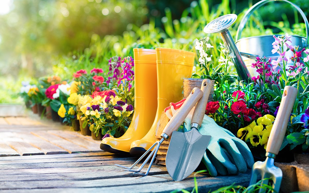 gardening