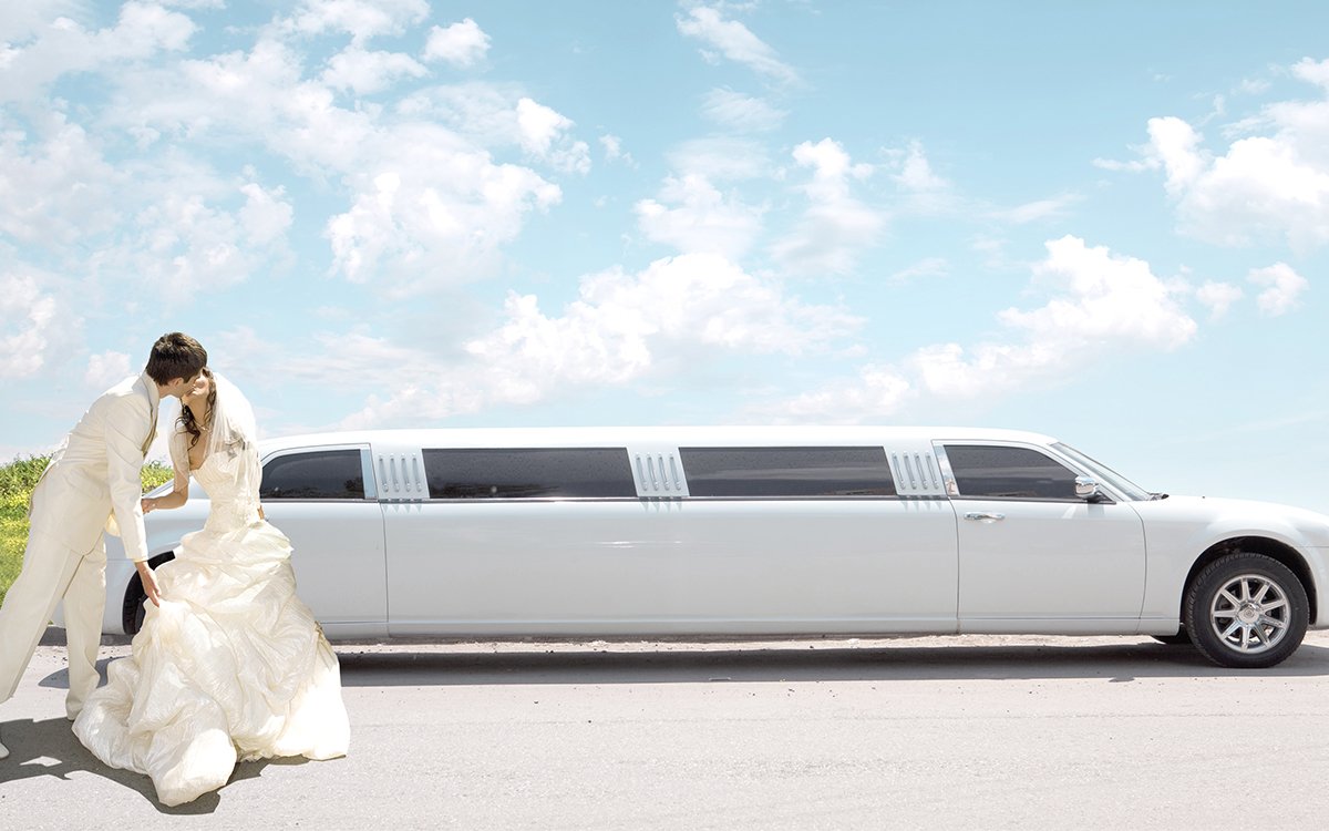 Graceful Beasts: The Epitome Of Wedding
