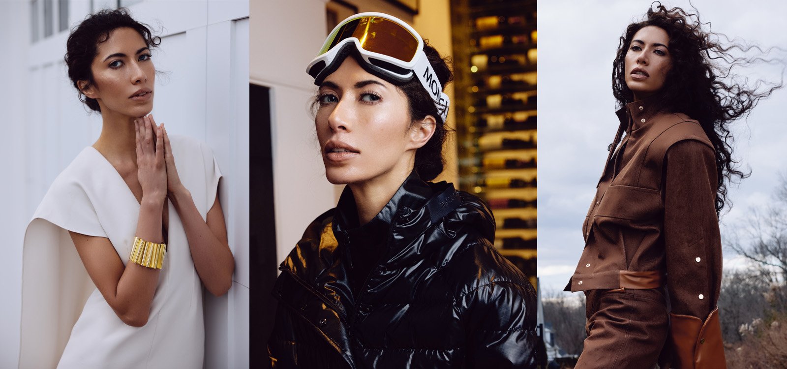 A Pictorial Symphony of Style