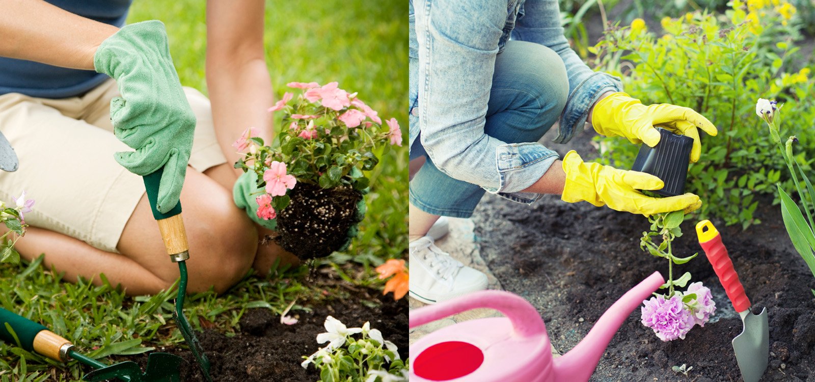 We Know All The Dirt!